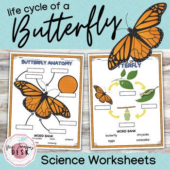 Spring Science Worksheets に対する画像結果