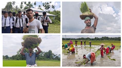 Toradh íomhá ar MBM TV