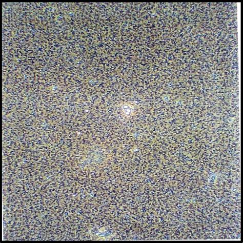 Toradh íomhá ar Understanding Formula and Functions