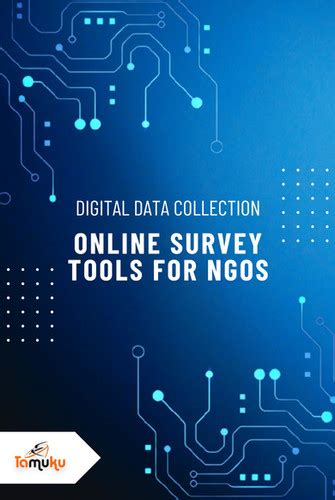 Issues of Digital Data Collection Tools に対する画像結果