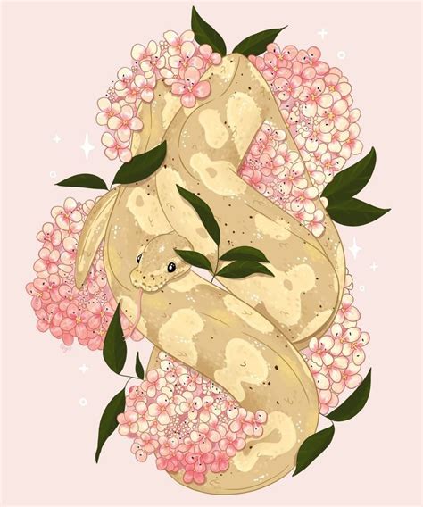 Image result for Ball Python Flower