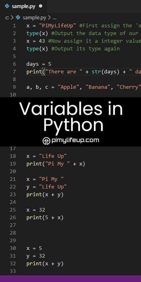 Python Built in Variables に対する画像結果