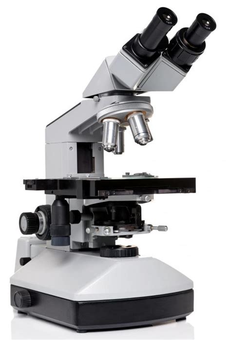Toradh íomhá ar Compound Microscope Example