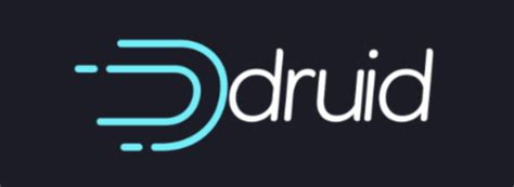 Image result for Apache Druid Logo