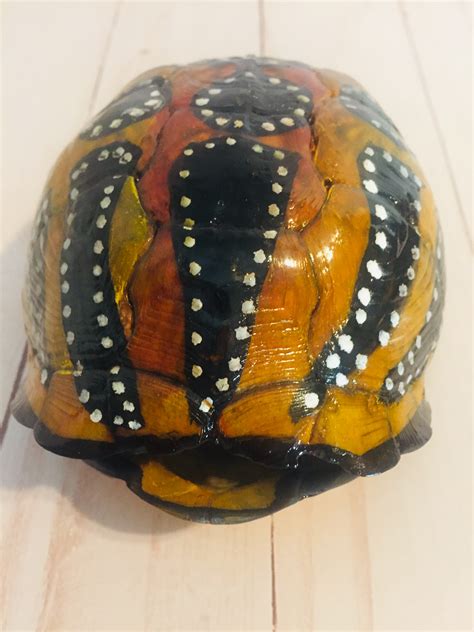 Image result for Bumpy Painted Turtle Shell