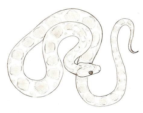 Image result for How to Draw a Ball Python