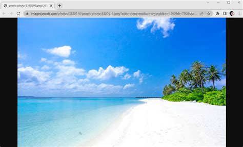 How to Copy Imagage URL に対する画像結果