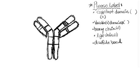 Toradh íomhá ar Classical Pathway Complement System MCAT