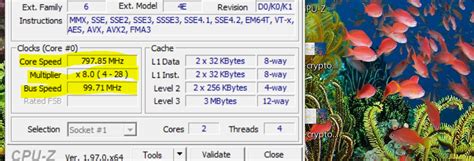 Image result for CPU Multiplier