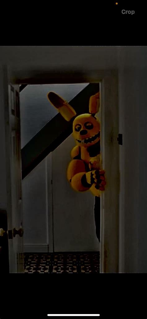 Image result for Spring Bonnie Spring Lock