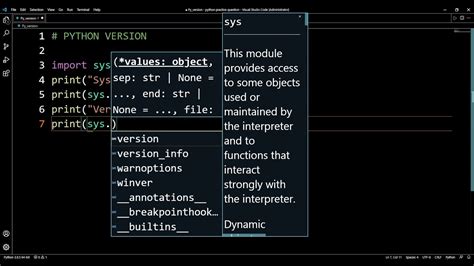 Python Program for Version Check に対する画像結果
