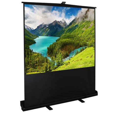 Image result for Rear Projection Projector Screen