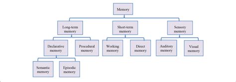 Image result for Classification Groups Easy Memory