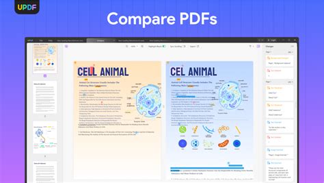 Image result for PDF Comparison UI