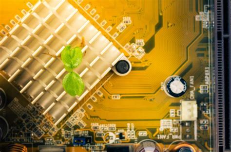 Image result for Basi Microchips