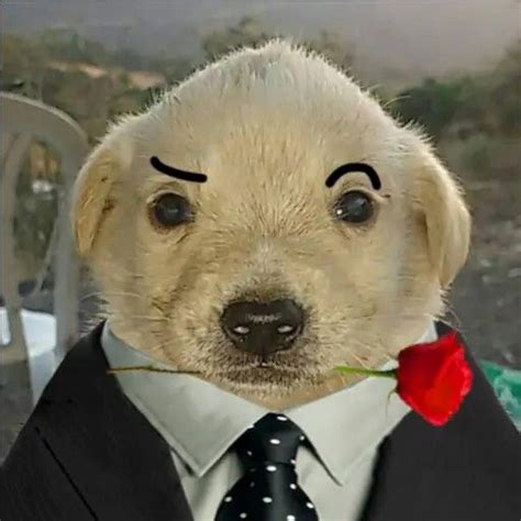 Afbeeldingsresultaten voor Animal Profile Icon