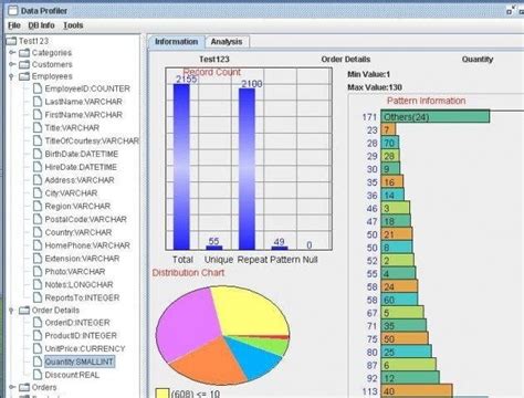 Informatica Profiling に対する画像結果