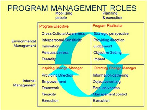 Image result for Deputy Program Manager