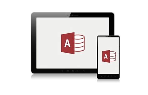 MS Access App に対する画像結果