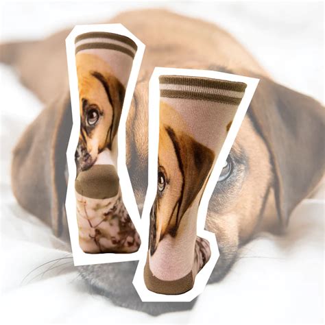 Toradh íomhá ar Sock My Feet Python