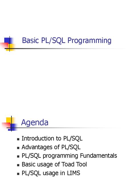 Basic Information of PL SQL Program に対する画像結果