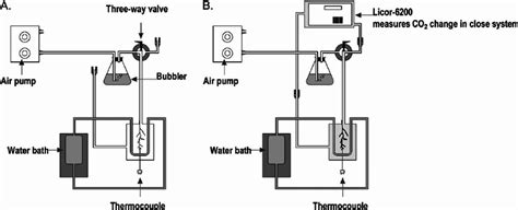 Image result for Totorials On Drawing Gas Exchange System