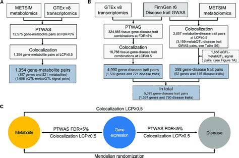 Image result for Type of Transcriptomics