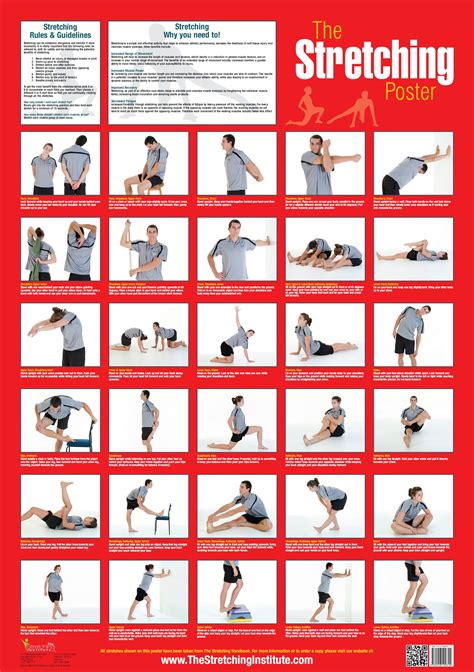 Image result for Stretch for Flexibility