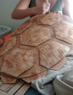 Image result for Turtle Half Way Out of Shell