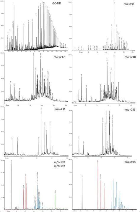 GC-FID MS に対する画像結果