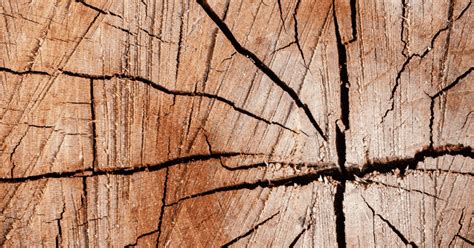 Fix Splitting Wood On Table に対する画像結果