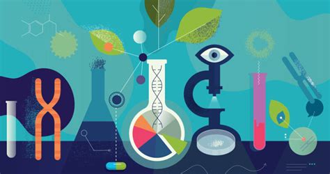 Image result for Science in Everyday Life Examples