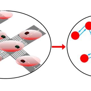 Image result for Directed Graph Schematic