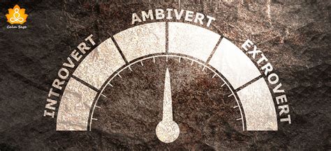 Image result for Ambivert Chart