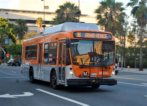 Image result for Metro Local Bus
