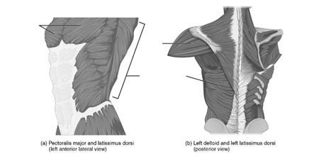 Image result for Lab 2 Test Quizlet