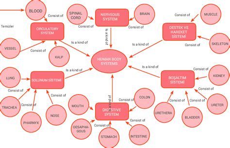 Image result for Concept Map for Intro to Computer Science