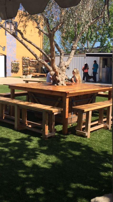 Image result for Table Arount Tree with Bench