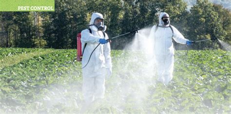 Image result for Pest Control in Agriculture