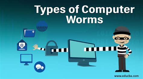 Image result for Computer Networms