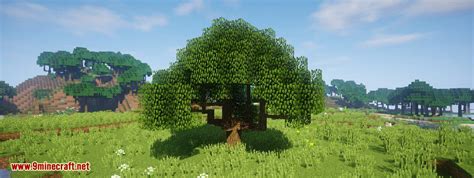 Dynamic Trees Mod 1.12.2/1.11.2 (Change the Natural Growth of Trees ...