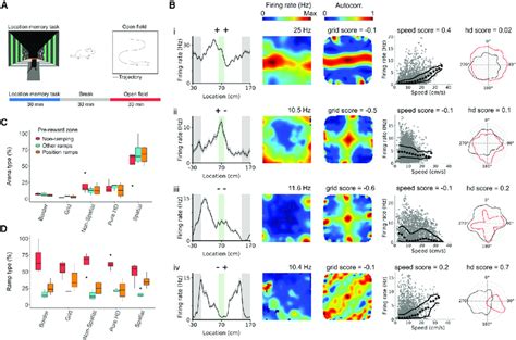 Toradh íomhá ar Extending Spatial Patterns