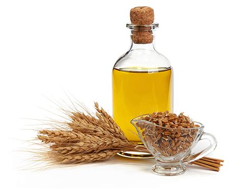 Image result for How to Use Wheat Germ Oil