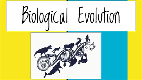 Image result for Biological and Evolutionary Basis