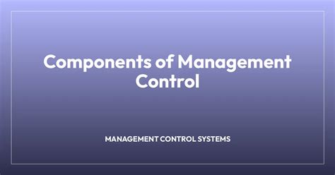 Image result for Management Control Systems Examples India