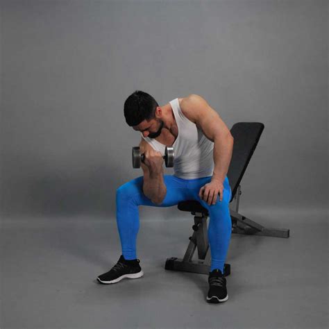 Toradh íomhá ar Sitting Dumbbell Curls