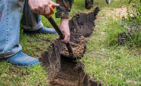 Digging Under Tree Stumps に対する画像結果