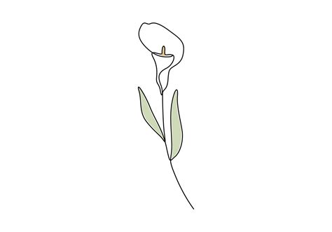 Image result for Calla Lily Line Drawing