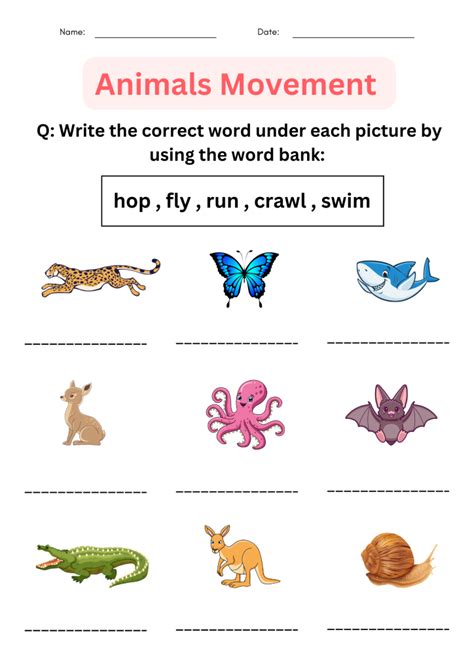 Image result for How Animals Move Worksheet