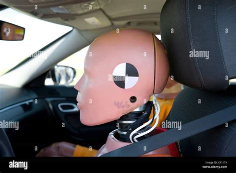 Image result for Car Testing Dummy